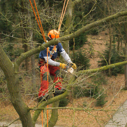 klimtechniek boekel